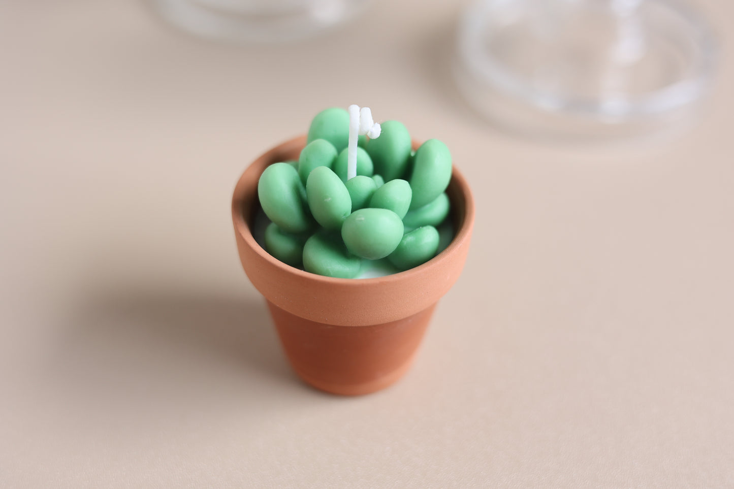 Cactus & Succulent Candle