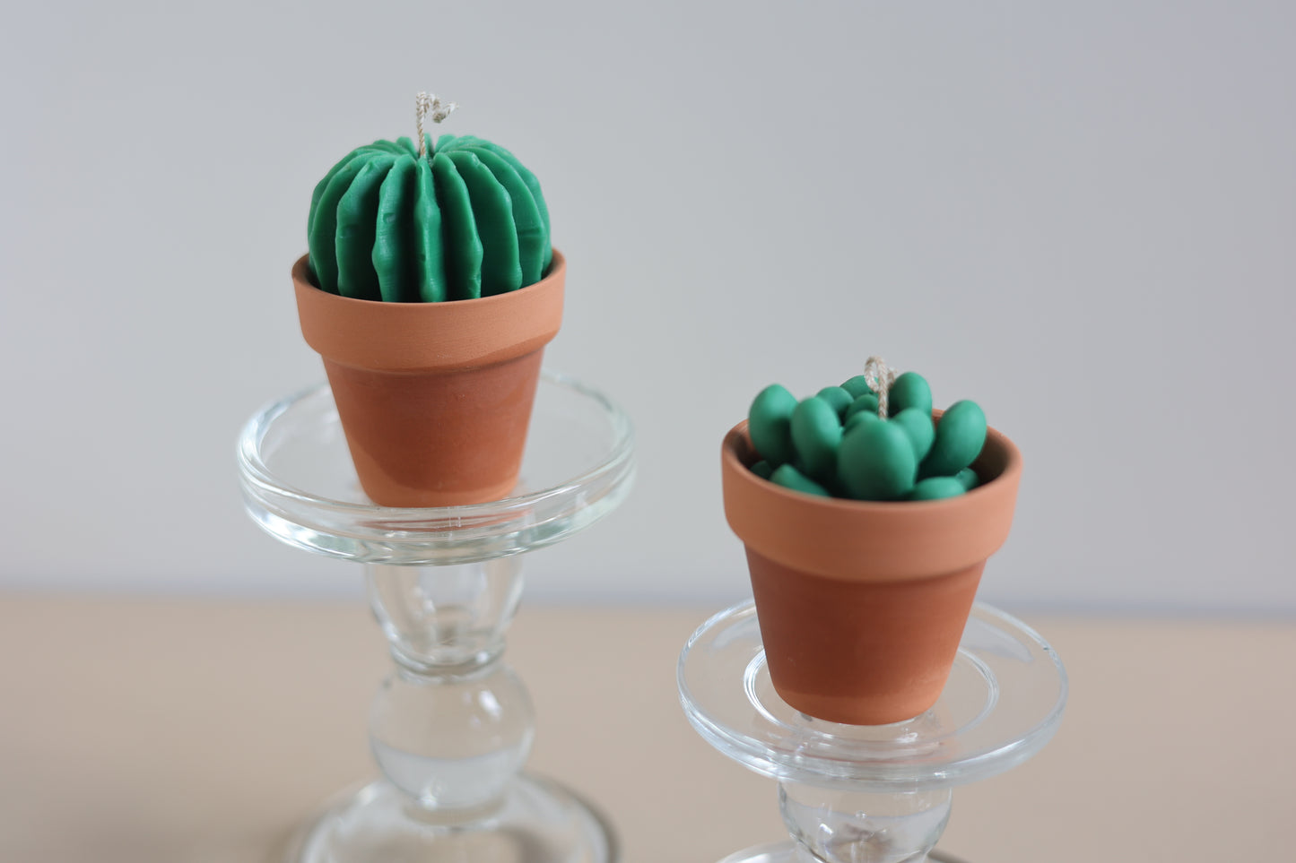 Cactus & Succulent Candle