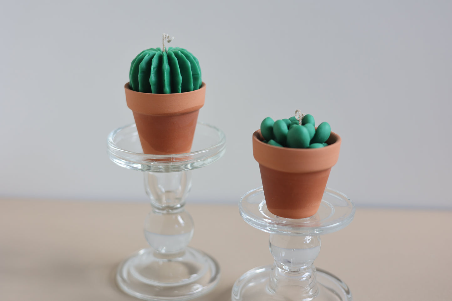 Cactus & Succulent Candle